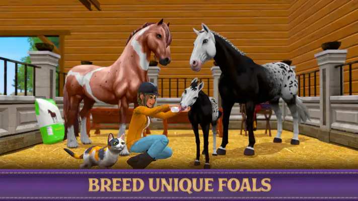 Star Equestrian – Pferderanch screenshot 1