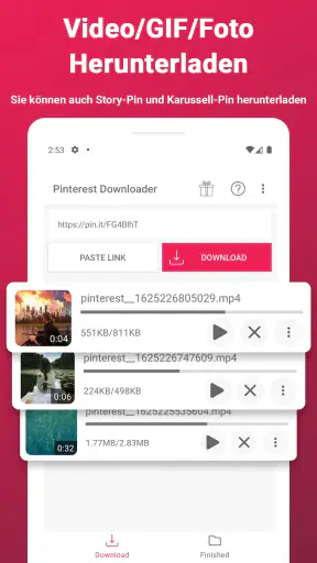 Video-Downloader für Pinterest screenshot 1