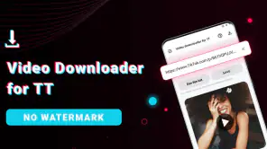 Video Downloader für TT screenshot 1