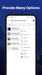 Video-MP3-Konverter screenshot