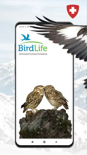 Vogelführer Birdlife Schweiz screenshot 1