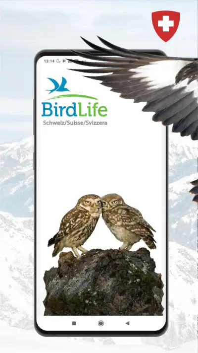 Vogelführer Birdlife Schweiz screenshot 1