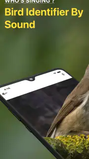 Vogelstimmen Erkennungs App screenshot 1