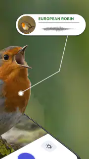 Vogelstimmen Erkennungs App screenshot 2