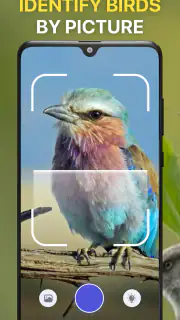 Vogelstimmen Erkennungs App screenshot 3