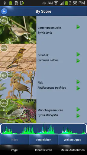Vogelstimmen Id - Ruf + Gesang screenshot 1