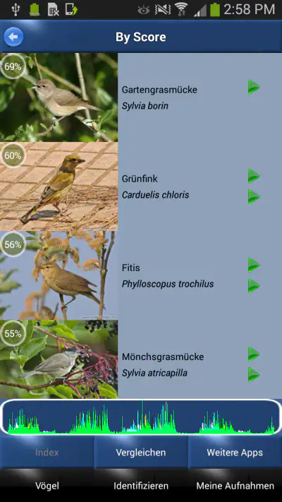Vogelstimmen Id - Ruf + Gesang screenshot 1