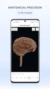 VOKA Anatomy Pro screenshot