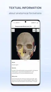 VOKA Anatomy Pro screenshot