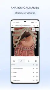 VOKA Anatomy Pro screenshot