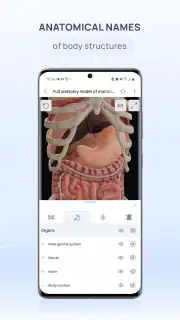 VOKA Anatomy Pro screenshot 6