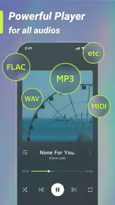 Weezer-Lite, MP3 Music player screenshot