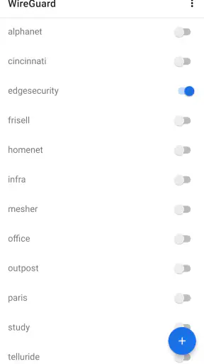WireGuard screenshot 1