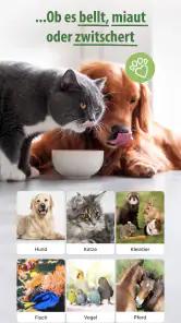 zooplus - Tierbedarf Online screenshot