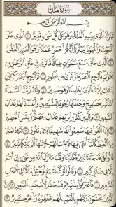 القرآن الكريم مع تفسير ومعاني  screenshot