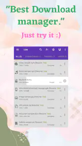 1DM+: Browser & Video Download screenshot