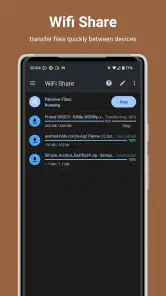 AnExplorer Pro File Transfer screenshot