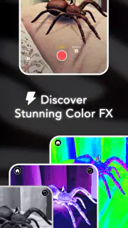 AR Spiders & Co: Scare friends screenshot 4