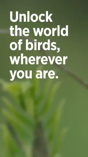 Audubon Bird Guide screenshot 1