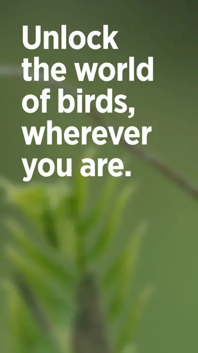 Audubon Bird Guide screenshot 1