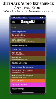 BallparkDJ Walkout Intros screenshot 1