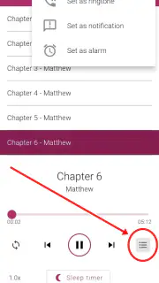 Bible NIV - Audio Bible App screenshot 5
