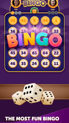 Bingo Dice screenshot 1