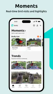 Birdfy screenshot 1
