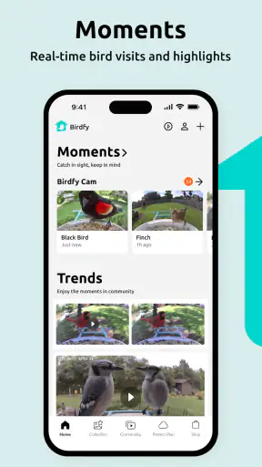 Birdfy screenshot 1