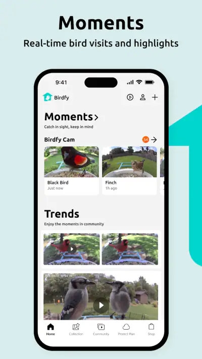 Birdfy screenshot 1