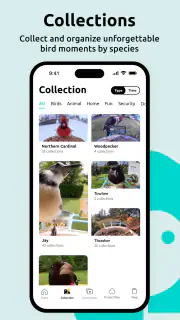 Birdfy screenshot 3