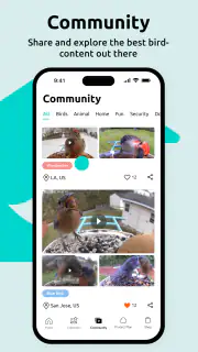 Birdfy screenshot 7