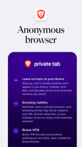 Brave Private Web Browser, VPN screenshot