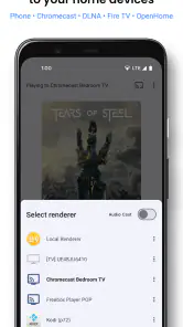 BubbleUPnP UPnP/DLNA License screenshot