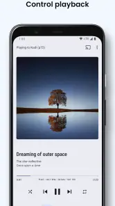 BubbleUPnP UPnP/DLNA License screenshot