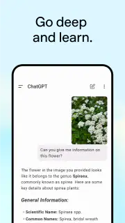 ChatGPT screenshot 4