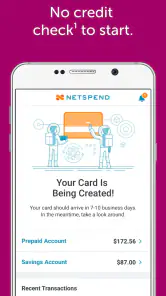 Classic Netspend screenshot
