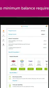 Classic Netspend screenshot
