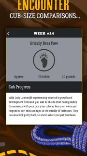 Dad Pregnancy Guide: Daddy Up screenshot 4