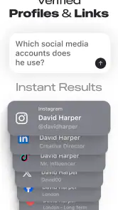 Deepsearch AI Search Assistant screenshot