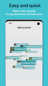 Dog Scanner: Breed Recognition screenshot