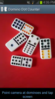 Domino Dot Counter screenshot 5