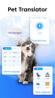 Easy Language Translator App screenshot 7