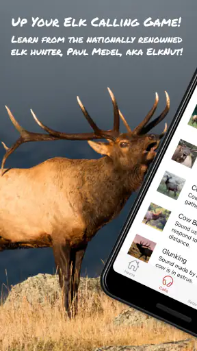 ElkNut screenshot 1