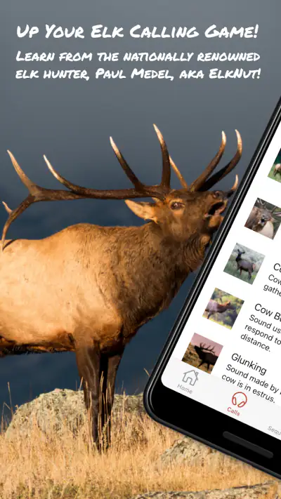 ElkNut screenshot 1