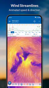 Flowx: Weather Map Forecast screenshot
