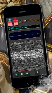 Ghost Radio EVP/EMF Simulator screenshot 5