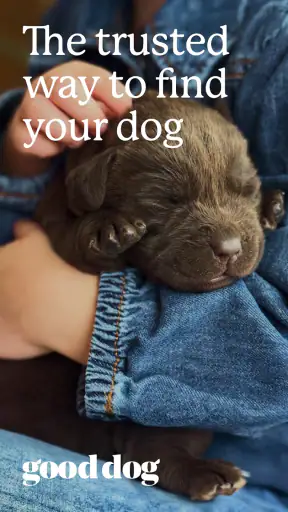 Good Dog: Find Your Puppy screenshot 1