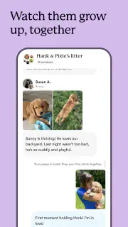 Good Dog: Find Your Puppy screenshot 6