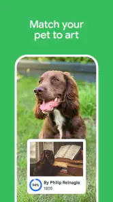 Google Arts & Culture screenshot